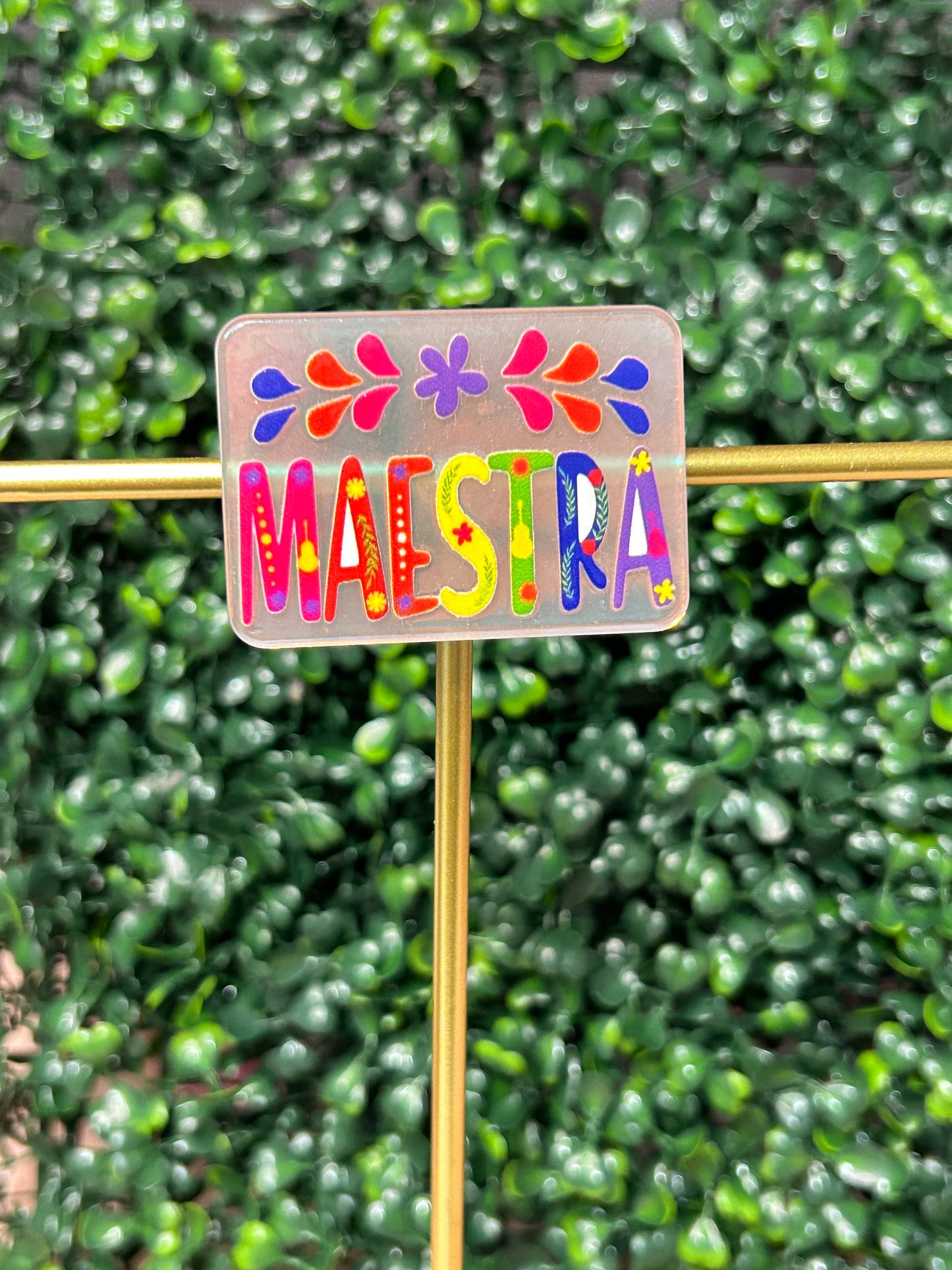 Maestra
