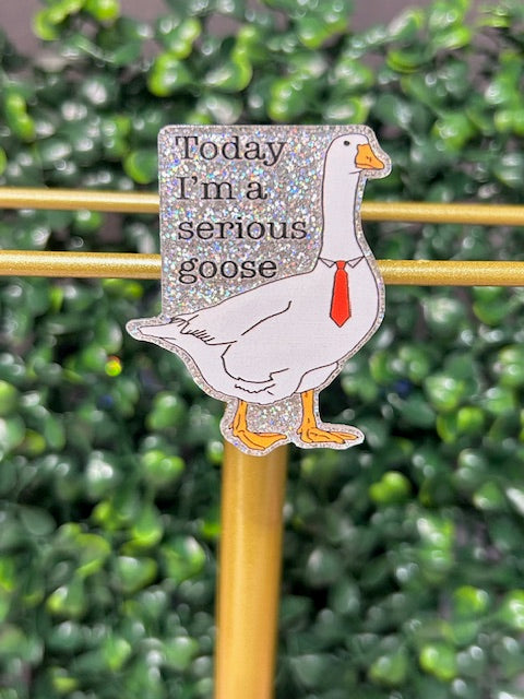 Serious Goose